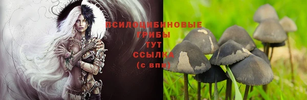 прущая мука Армянск