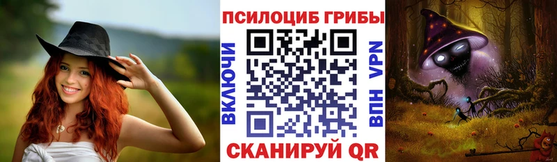 Галлюциногенные грибы Psilocybine cubensis  Новодвинск 