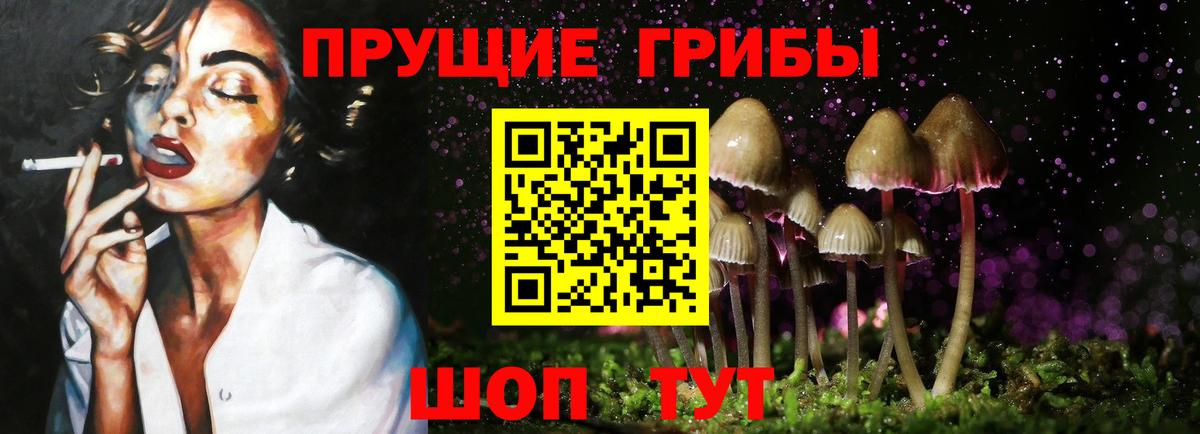 наркошоп  Вход с VPN  Новодвинск  Псилоцибиновые грибы Magic Shrooms  Галлюциногенные грибы Psilocybine cubensis 