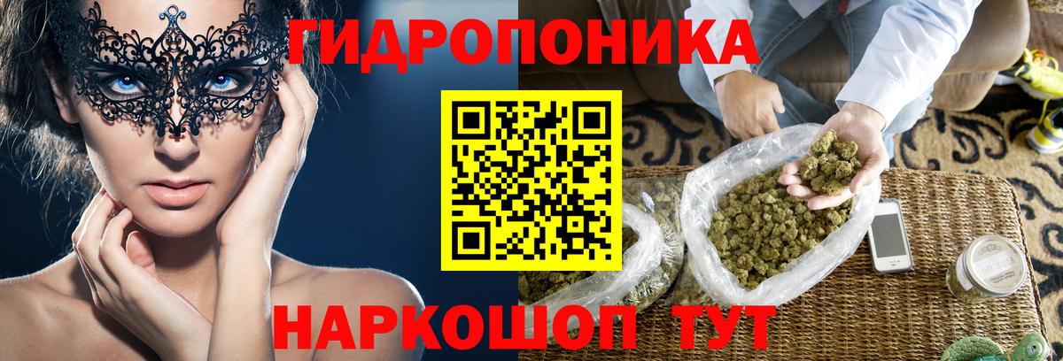 Конопля SATIVA & INDICA Новодвинск